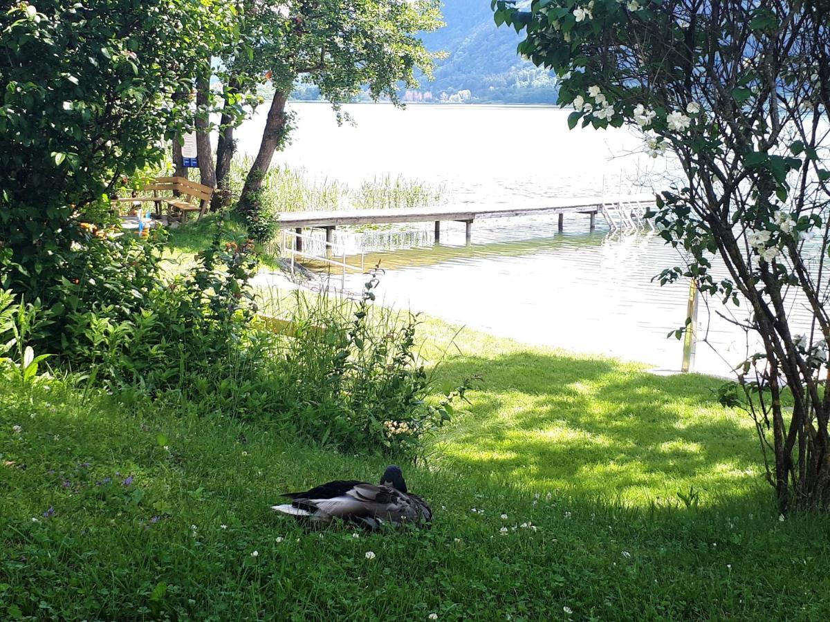 Anna Seeblick Appartement, Haus Haensel&Gretel Am Ossiachersee Mit Direktem Seezugang, Hallenbad Bodensdorf Bagian luar foto